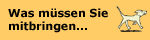 mitbringen